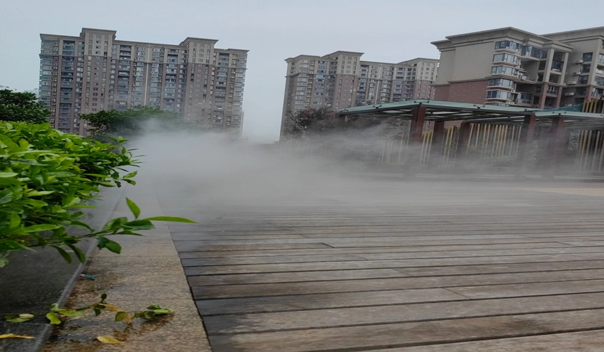 项目效果（3）