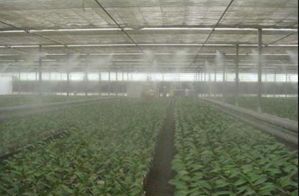云南蔬菜大棚喷雾加湿降温 还可以打药