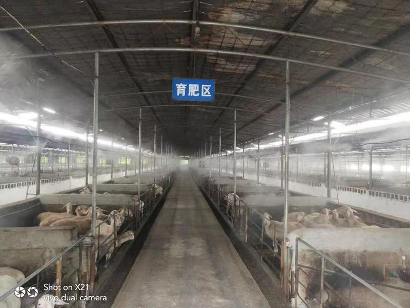 养殖场喷雾降温系统
